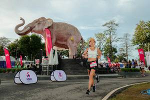 BIB: 
                            <button type="button" onclick="openModal(26529194)" class="btn btn-primary btn-sm float-right btn-popup" data-toggle="modal" data-target=".modal-high-quality">
                        <i class="fas fa-shopping-cart"></i> Add to Cart
                    </button>
                                            <button type="button" onclick="isThisMe(26529194, true)" class="btn btn-success btn-sm float-right btn-popup btn-isme hidden" data-toggle="tooltip" data-placement="bottom" title="นี่คือรูปของคุณใช่ไหม คลิกที่นี่เพื่อเอาเข้าอัลบั้ม">
                        <i class="fas fa-plus"></i> Add to album
                    </button>
                    <button type="button" onclick="isThisMe(26529194, false)" class="btn btn-warning btn-sm float-right btn-popup btn-isnotme hidden">
                        <i class="fas fa-ban"></i> Remove from album
                    </button>